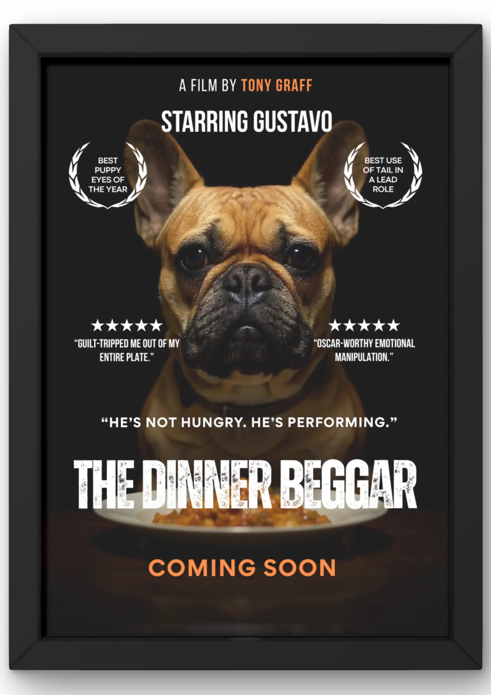 Pet poster 1