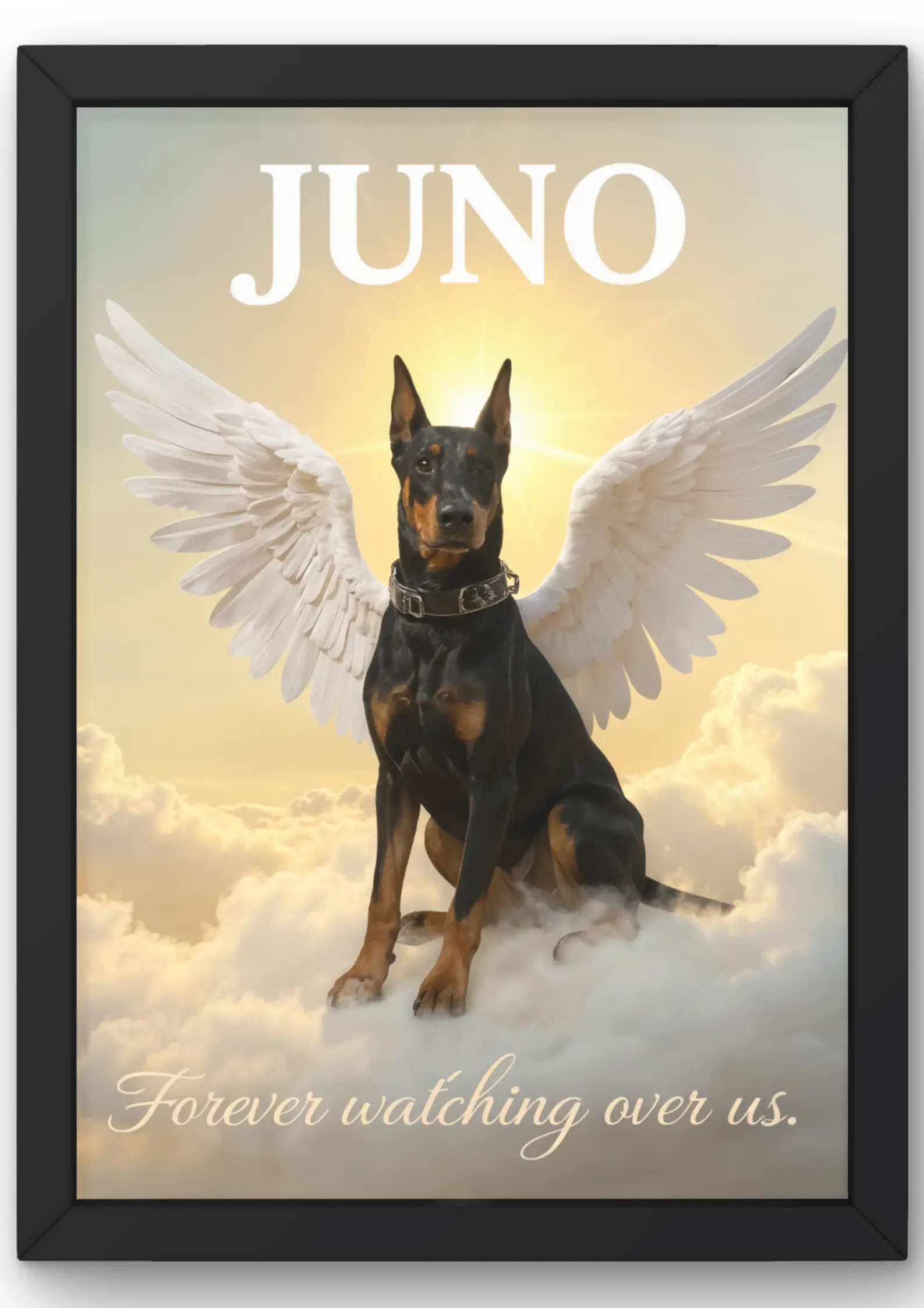 Pet poster 15