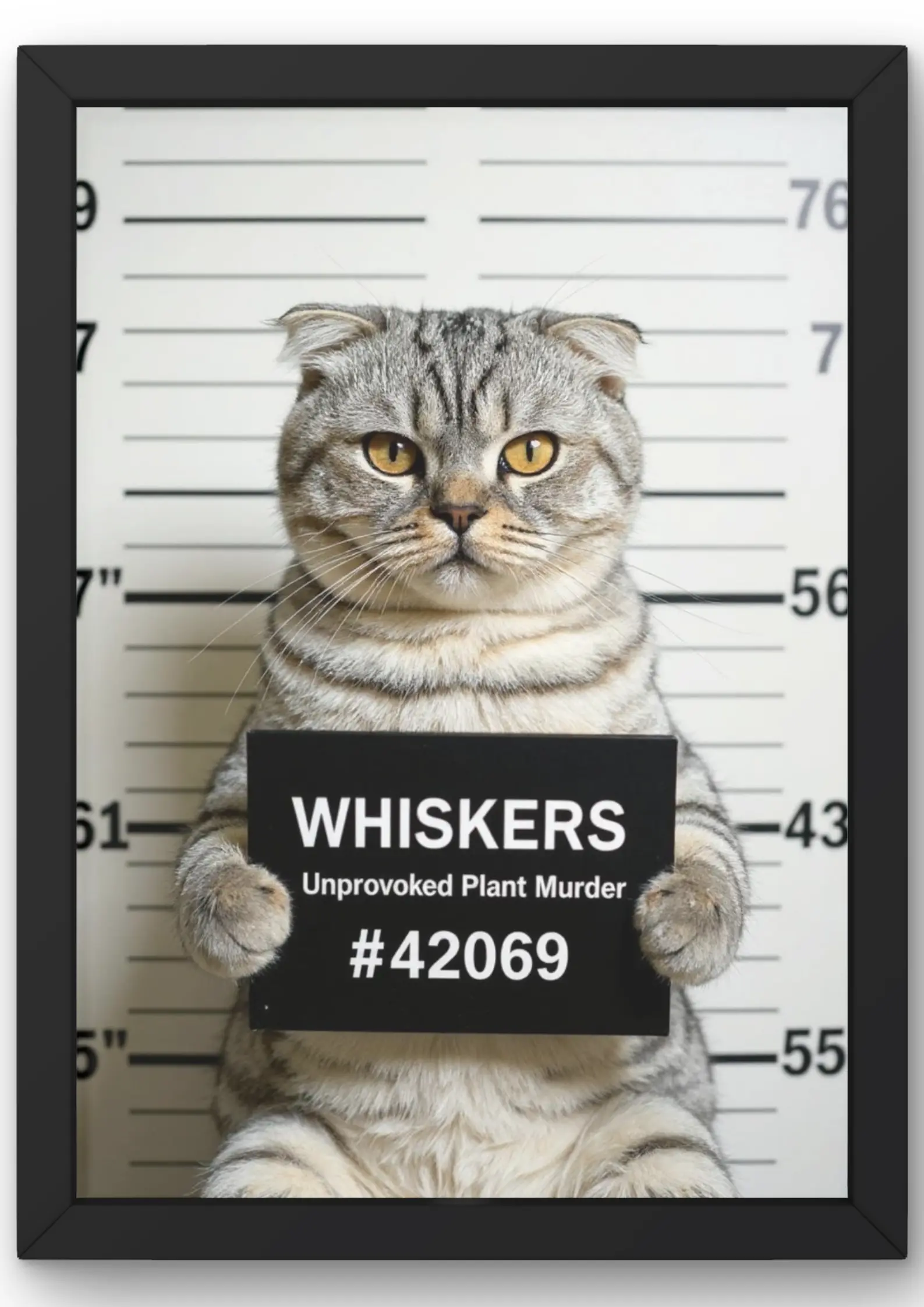Pet poster 6
