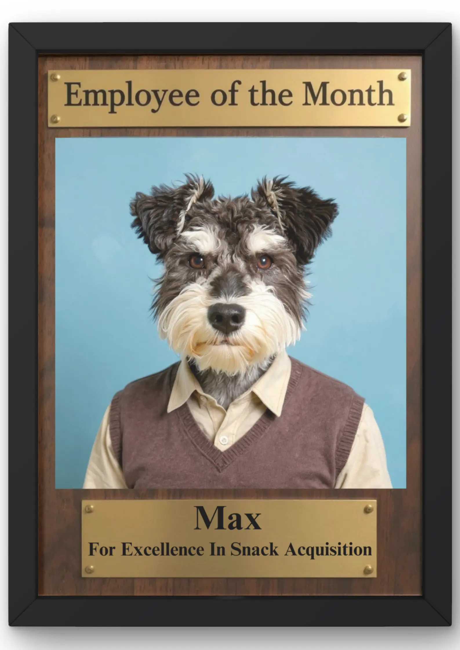 Pet poster 9
